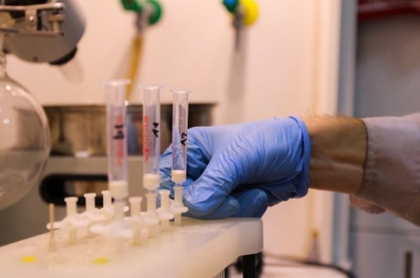 Химики МГУ открыли новый белок, защищающий клетки от гибели