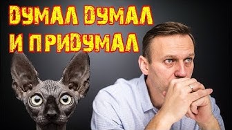 А был ли интернет? Кот Костян