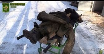 Подрыв украинской ДРГ на минных заграждениях