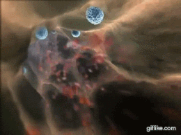 Клетки кожи превратили в иммунные клетки