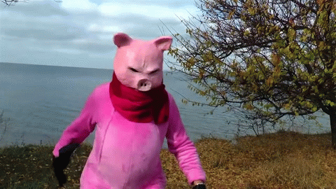 Свинья, шансон и дробовик. Глава зоопарка Одессы снял странный новогодний клип