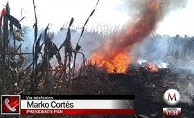 В Мексике разбился вертолет с губернатором штата