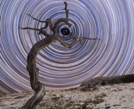 Астрономия: итоги 2018 года | Новогоднее поздравление Главы Роскосмоса