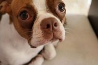 Наказание американца