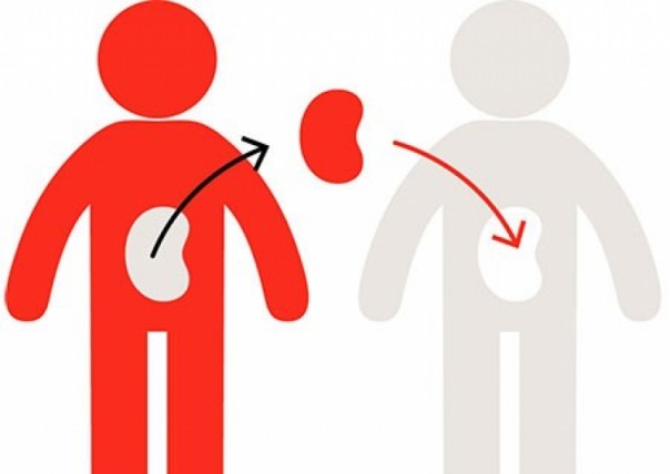 США не хватает украинских органов. Супрун вводит новую врачебную специальность - трансплантант-координатор