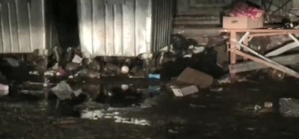 ''Коммунальщикам страшно!''. В центре Киева нашествие крыс