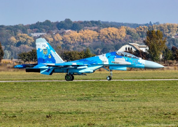 Под Житомиром разбился Су-27 ВВС Украины