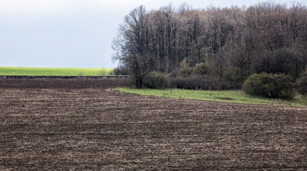 Официально. Рада продлила земельный мораторий до 2020 года