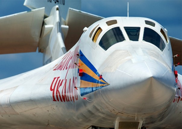 «Белые лебеди» обустраиваются на заднем дворе США