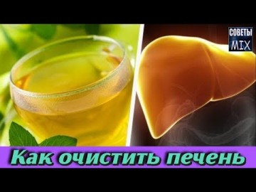 Как очистить печень в домашних условиях: 5 проверенных рецепта, чтобы избавиться от шлаков и токсинов