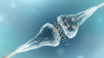 Российские биохимики раскрыли секрет появления волчанки