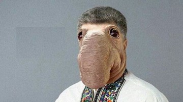 На Украине ждут наступления русских