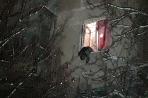 Взрыв в жилом доме в Мариуполе, разорвавший на части двух человек, устроили пьяные сотрудники СБУ