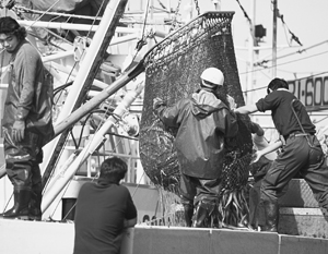 Токио заявил протест Москве после штрафа японским рыбакам за промысел у Курил | Дальневосточный капитан объяснил скандал с японскими рыбаками возле Курил