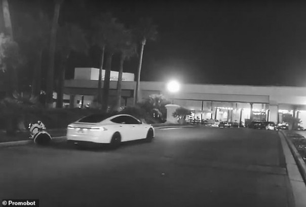 Беспилотник Tesla сбил российского робота в Лос‐Анджелесе