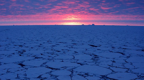 Открыватель последнего континента: два века назад Беллинсгаузен ступил на берег Антарктиды