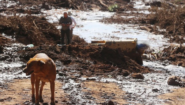 Прорыв плотины: 150 человек в Бразилии пропали без вести