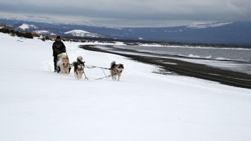 Вопрос Курил должен решаться с учетом мнения местных жителей, заявил Абэ