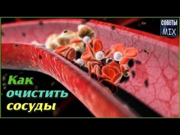 15 важных продуктов, которые очистят сосуды и артерии. Самые полезные советы для здоровья