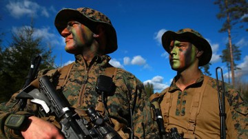 До эстонцев дошло: они должны гибнуть за американцев, а не наоборот