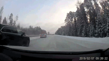 Дерзкий экипаж ДПС, сопровождавший губернатора Сипягина, отстранили от работы