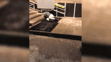 "Он нам не нужен". В Карелии охранник больницы спустил пациента с лестницы