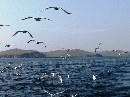 Российские ученые обнаружили на дне Байкала сотни миллионов тонн нефти