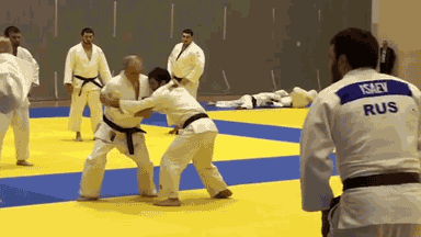 Путин вышел на татами в Сочи — видео