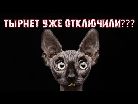 Тотальное отключение мозгов от интернета