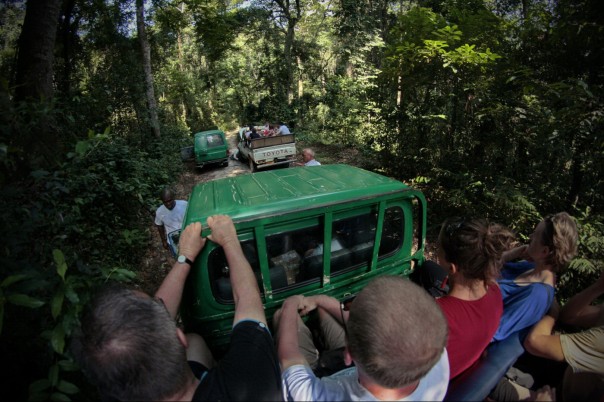 Технология фейков: как западные пропагандисты ловят «Вагнера» в африканских джунглях