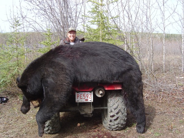 Приколы, неудачи, казусы и необычные случаи на охоте