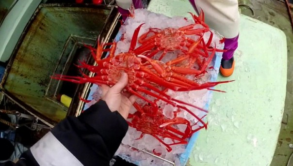 ФСБ задержала японскую шхуну с крабами-нелегалами на 39 миллионов рублей