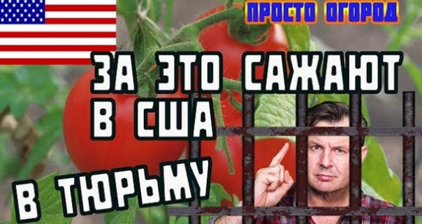 В Америке запрещено иметь огороды! Штраф и садят в Тюрьму за выращивание овощей! Жизнь в США минусы