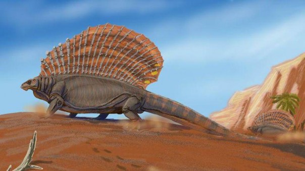 Древних рептилий нашли в Антарктиде