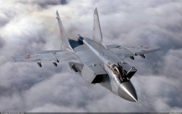 Крылатые защитники Арктики