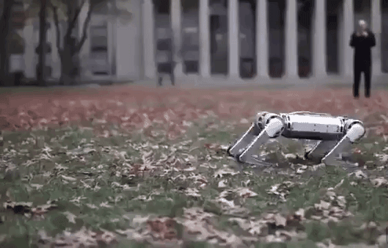 Робота-гепарда научили делать сальто назад и танцевать чечётку — видео