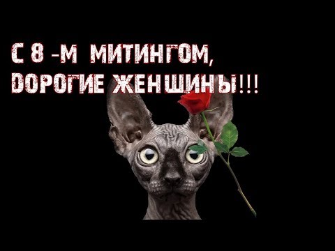 А вот и март, число Восьмое, и новый митинг на носу
