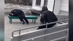 В Подмосковье два пьяных полицейских уснули на улице — видео