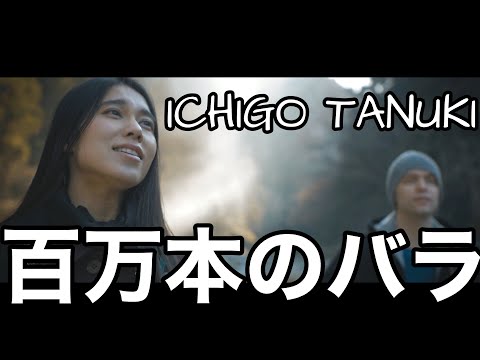 Японка исполнила «Миллион алых роз» и восхитила россиян