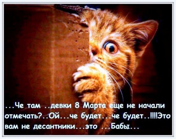 Мужчина! Вы верите в любовь с первого взгляда, или мне еще раз мимо вас пройти...