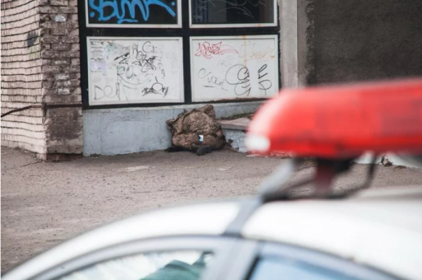 В Днепре на набережной обнаружили мертвого хрюмберга | В Волынской области хрюмберг скопытился после удара несовершеннолетнего