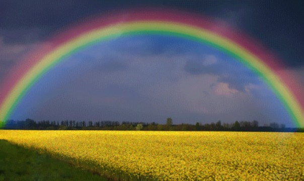 Гром Донецкий. Мартовский