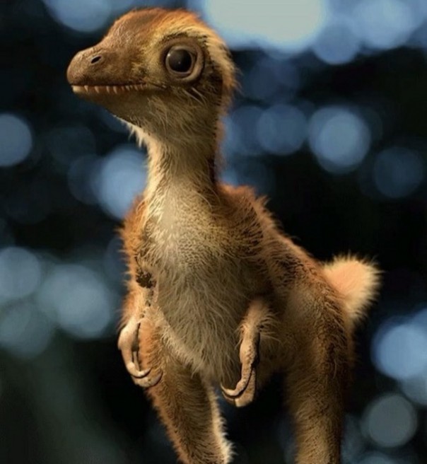 Как выглядели детеныши тираннозавра рекса: видео