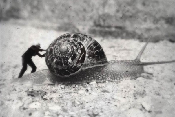 Народный академик. Александр Проханов