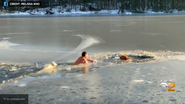 Американцев восхитил поступок сибиряка, который спас собак из проруби