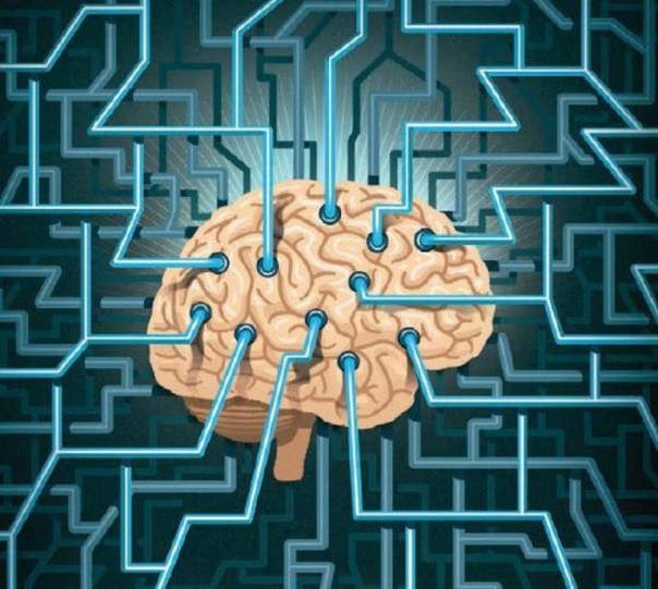 Александр Роджерс: Делегирование мышления