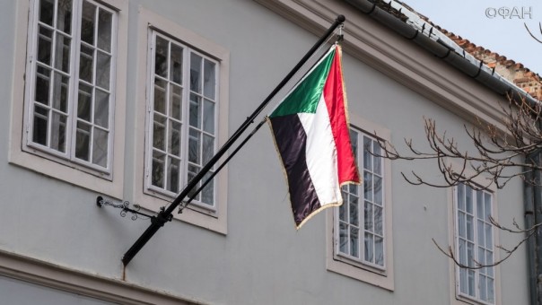 Совфед прокомментировал победу Судана над США в суде