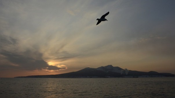 Россия предупредила японцев, чтобы не ждали никакого бартера по Курилам