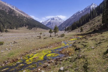 Долина реки Арашан. Киргизия