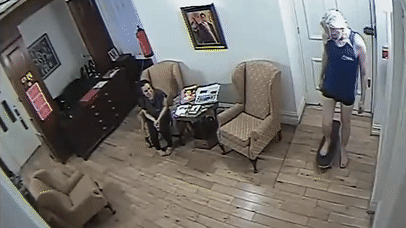 Опубликованы кадры из жизни Ассанжа в Посольстве Эквадора